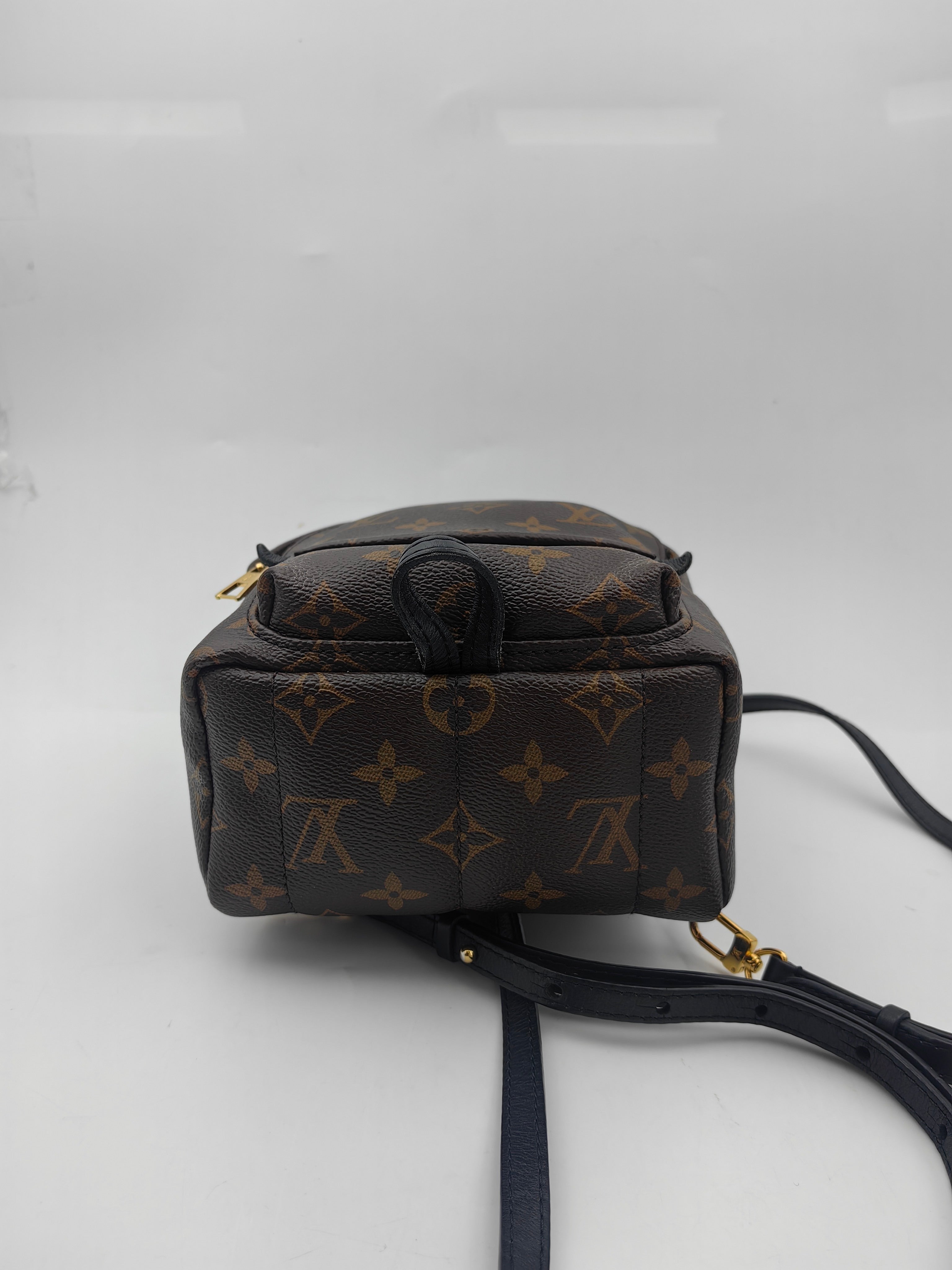 Louis Vuitton Backpack