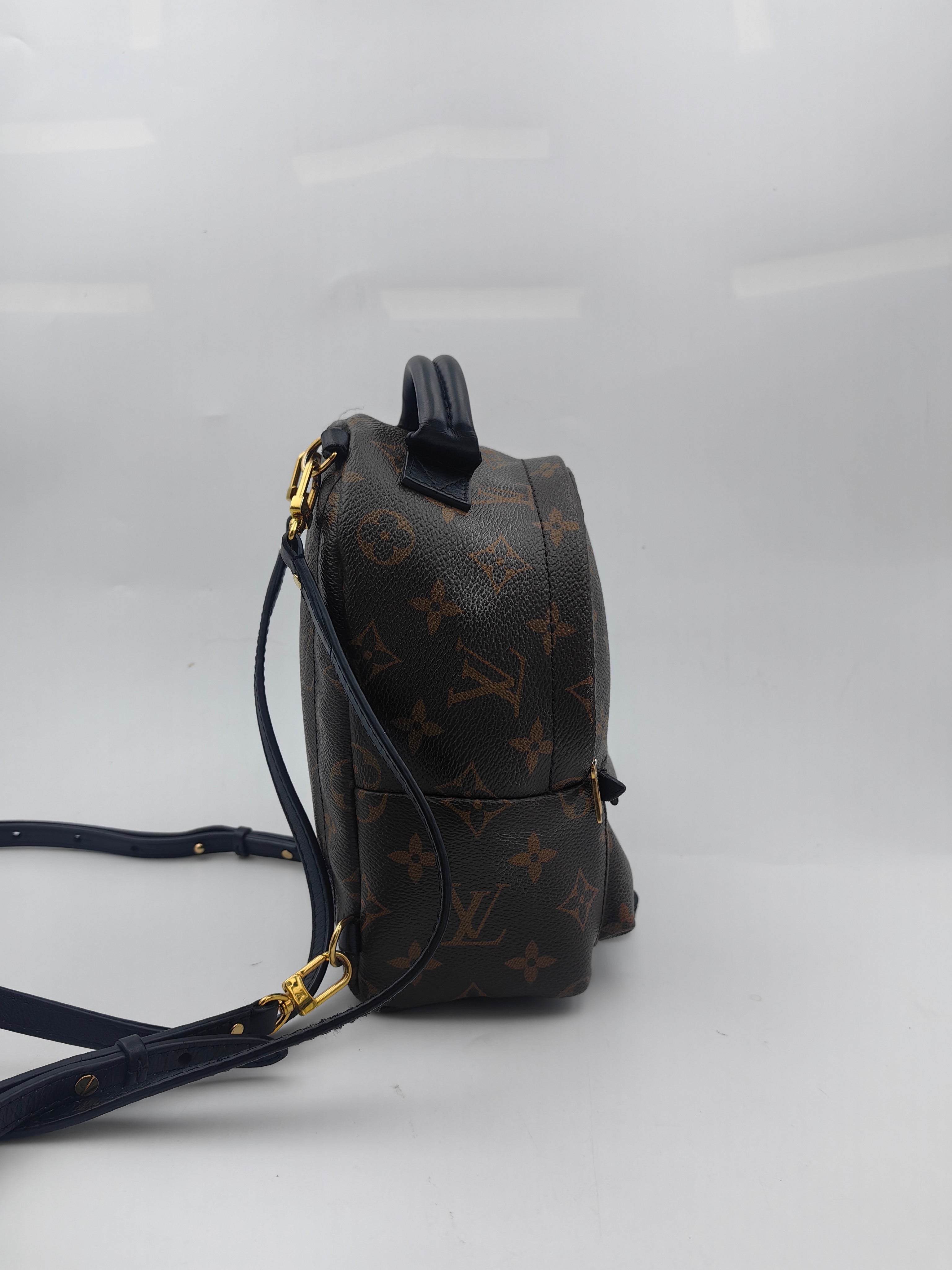Louis Vuitton Backpack