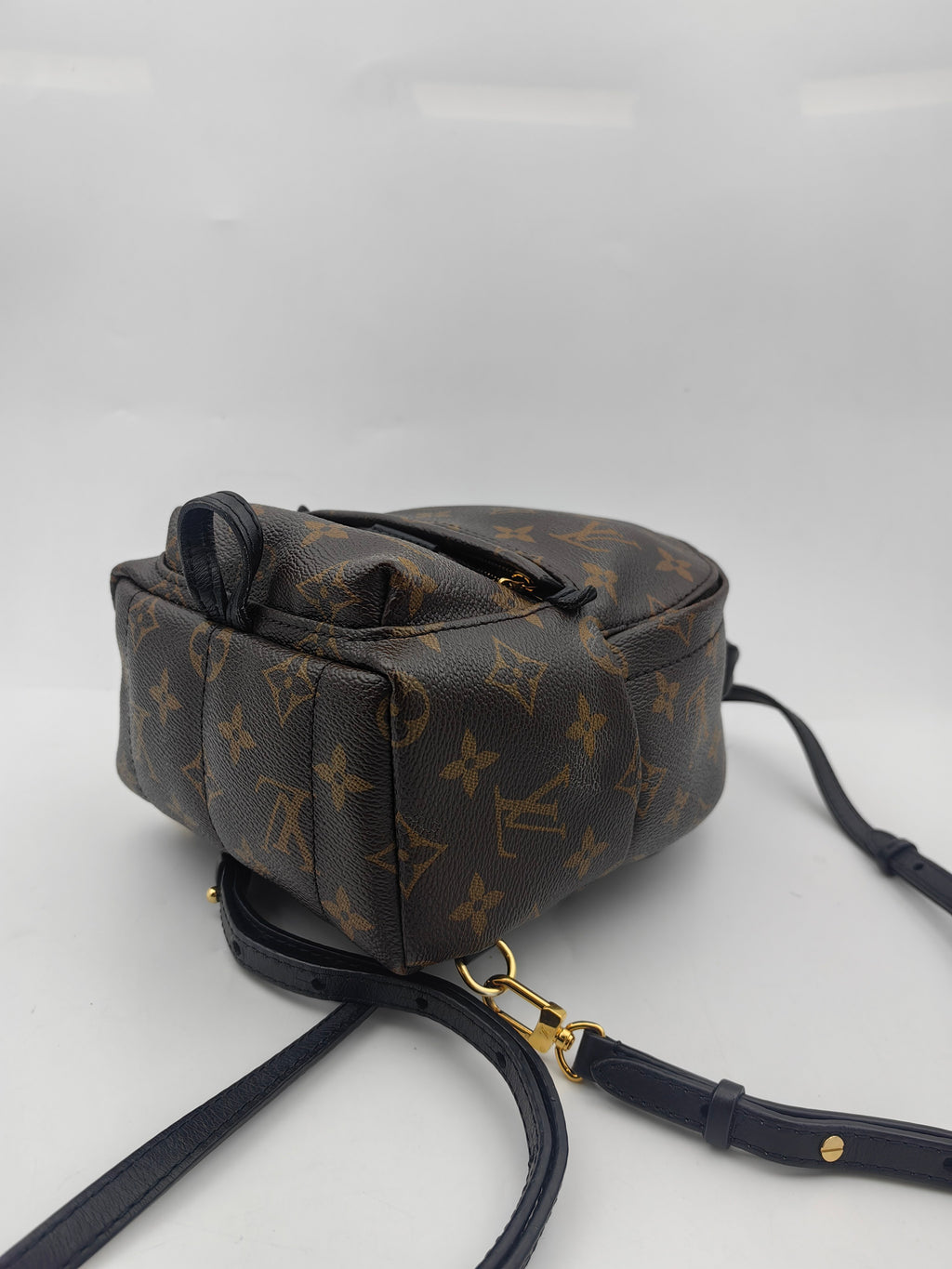 Louis Vuitton Backpack
