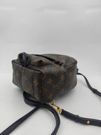 Louis Vuitton Backpack