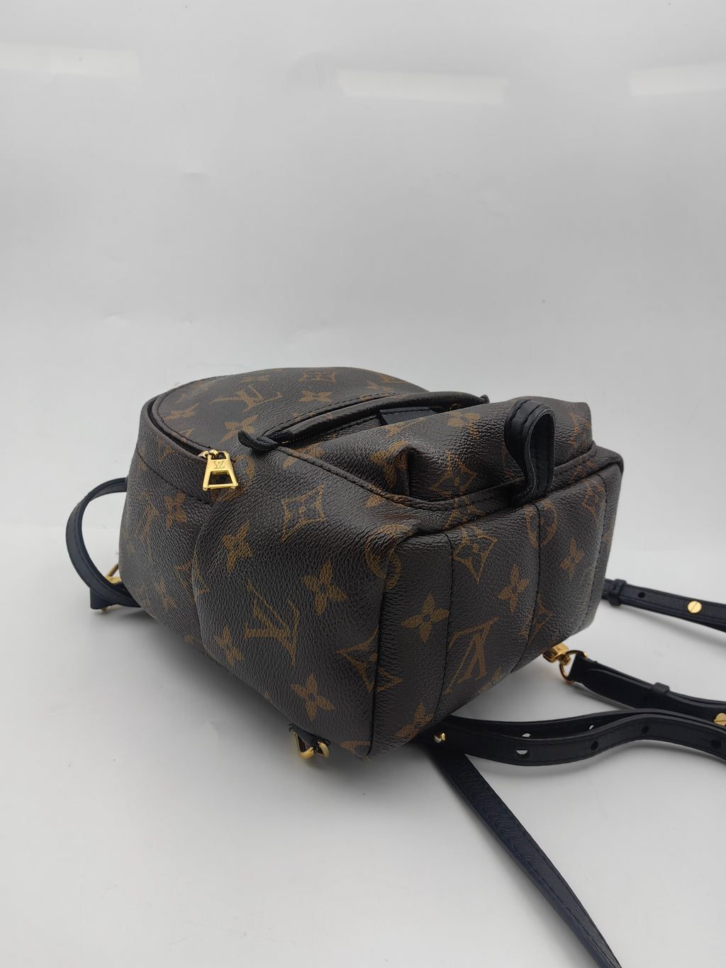 Louis Vuitton Backpack