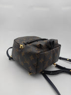 Louis Vuitton Backpack