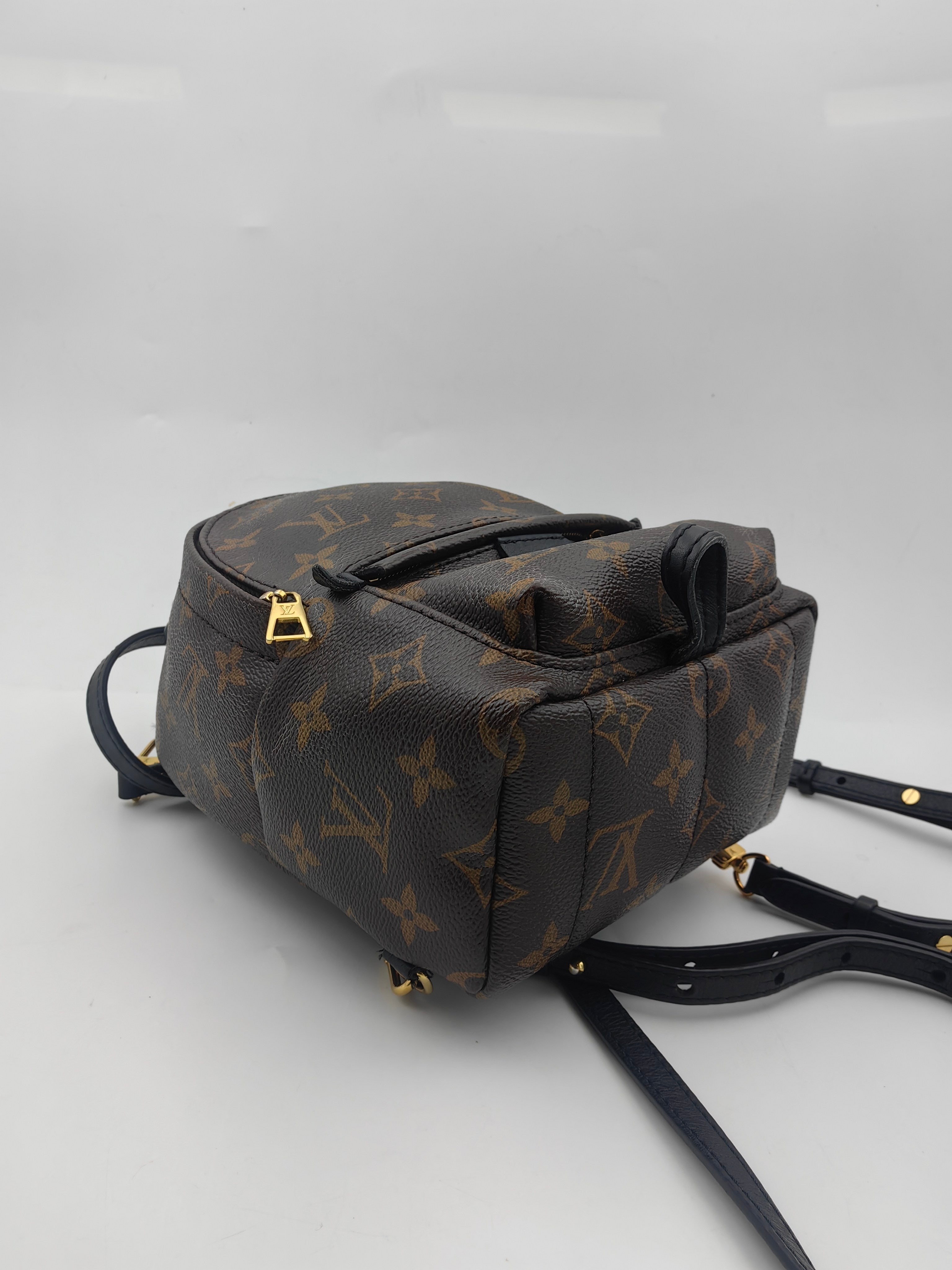Louis Vuitton Backpack