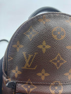 Louis Vuitton Backpack