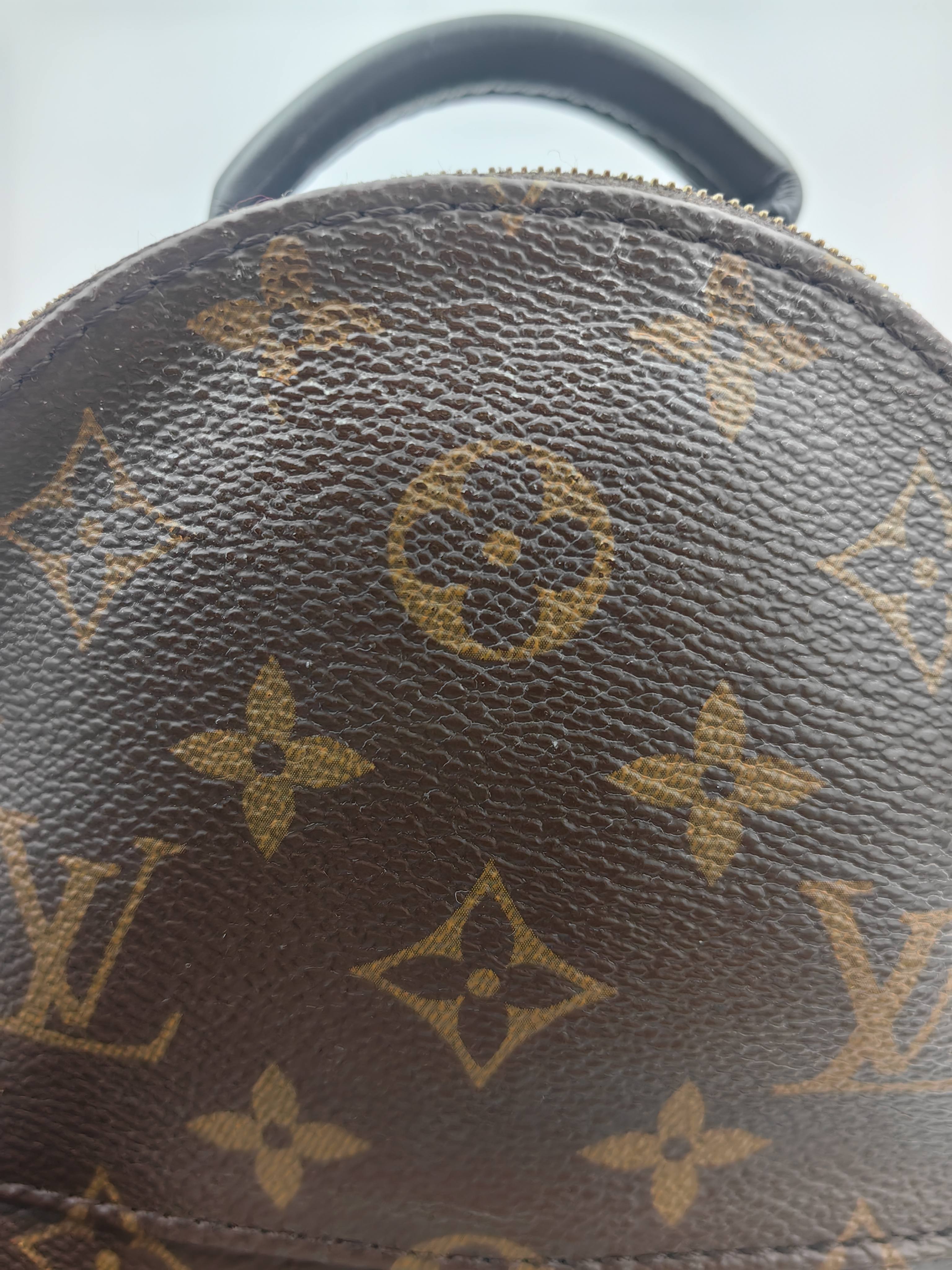 Louis Vuitton Backpack