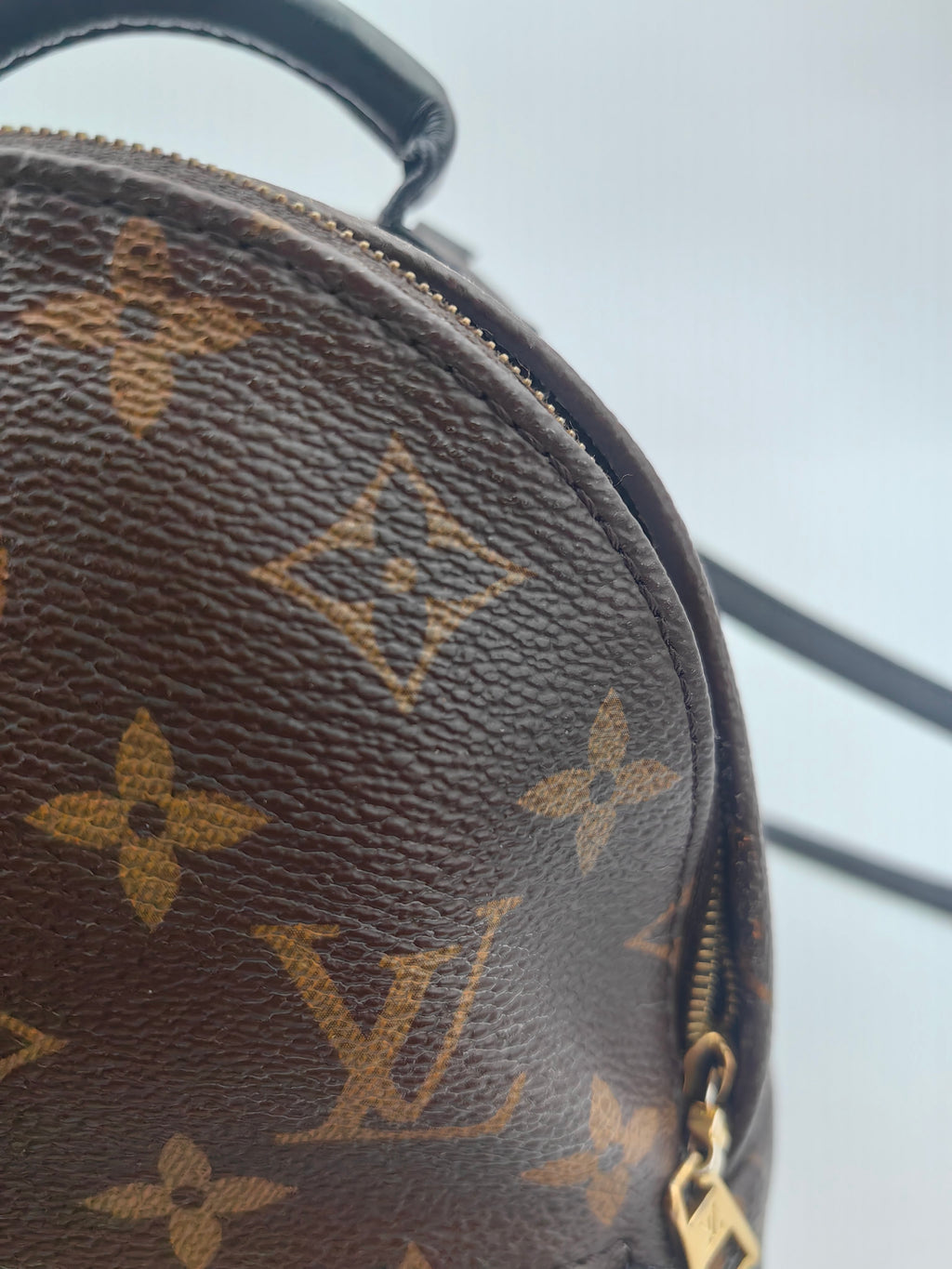 Louis Vuitton Backpack