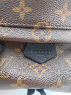 Louis Vuitton Backpack