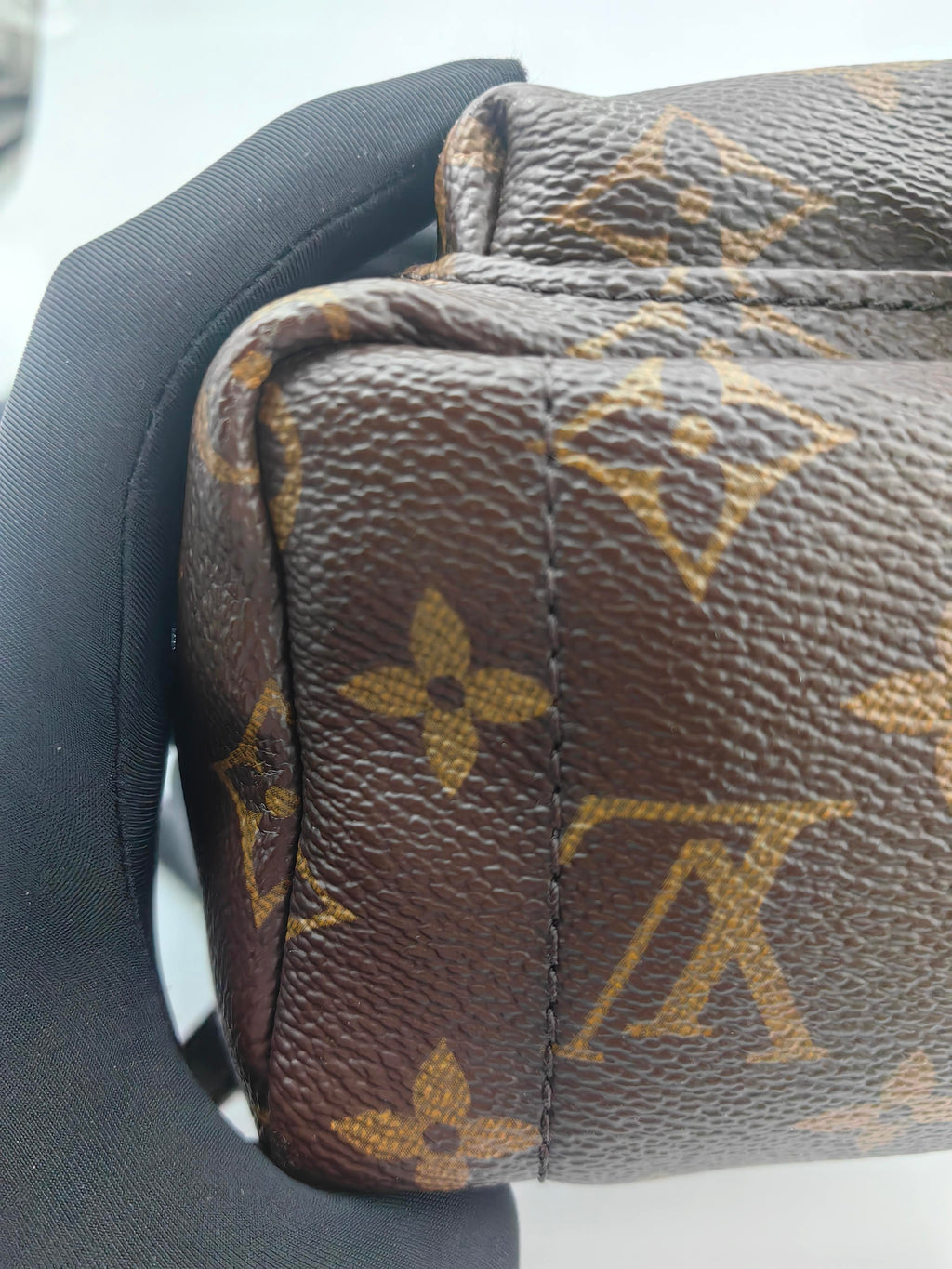 Louis Vuitton Backpack