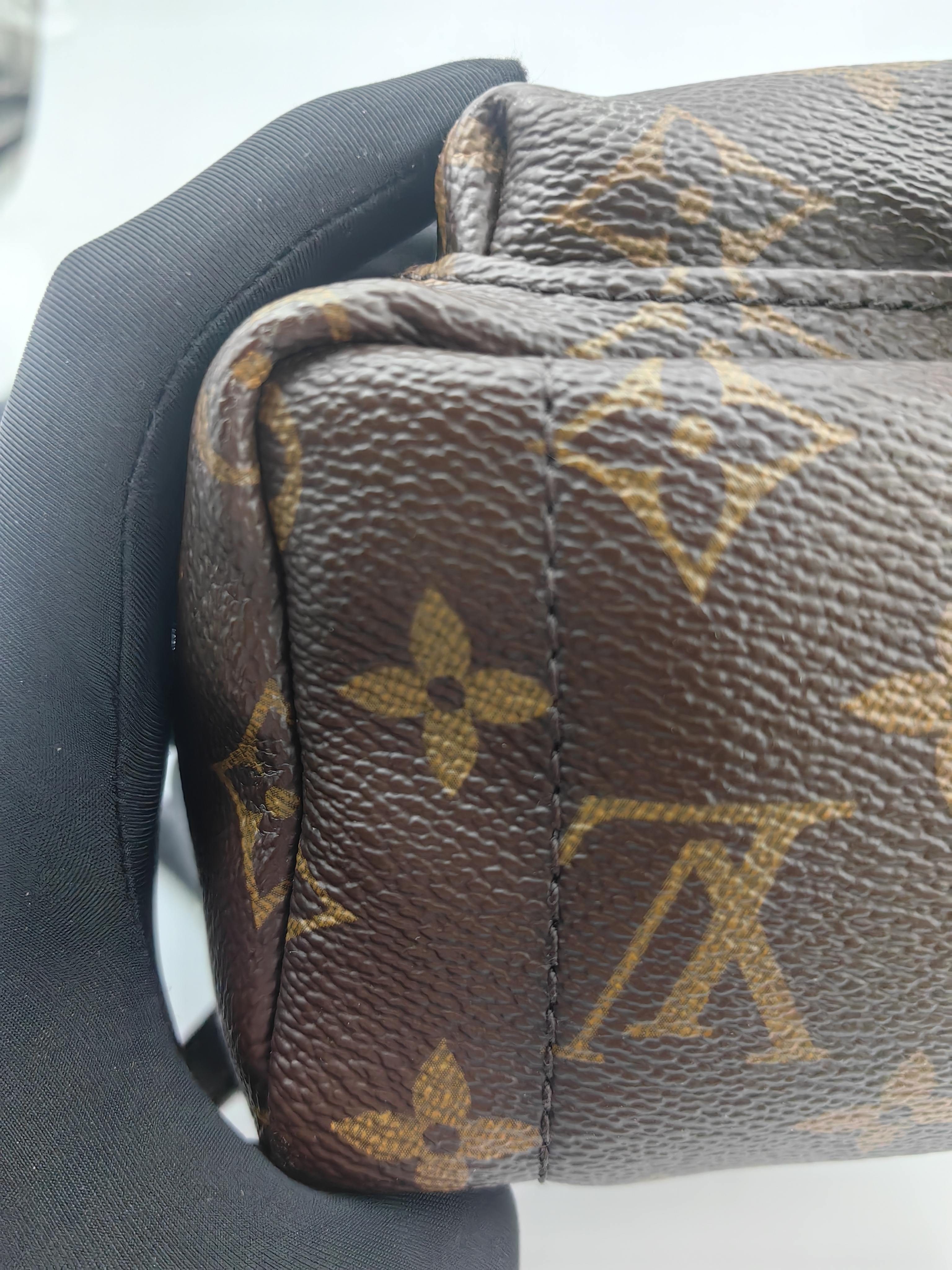 Louis Vuitton Backpack