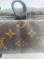 Louis Vuitton Backpack