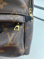 Louis Vuitton Backpack