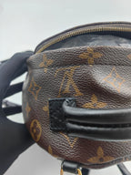 Louis Vuitton Backpack