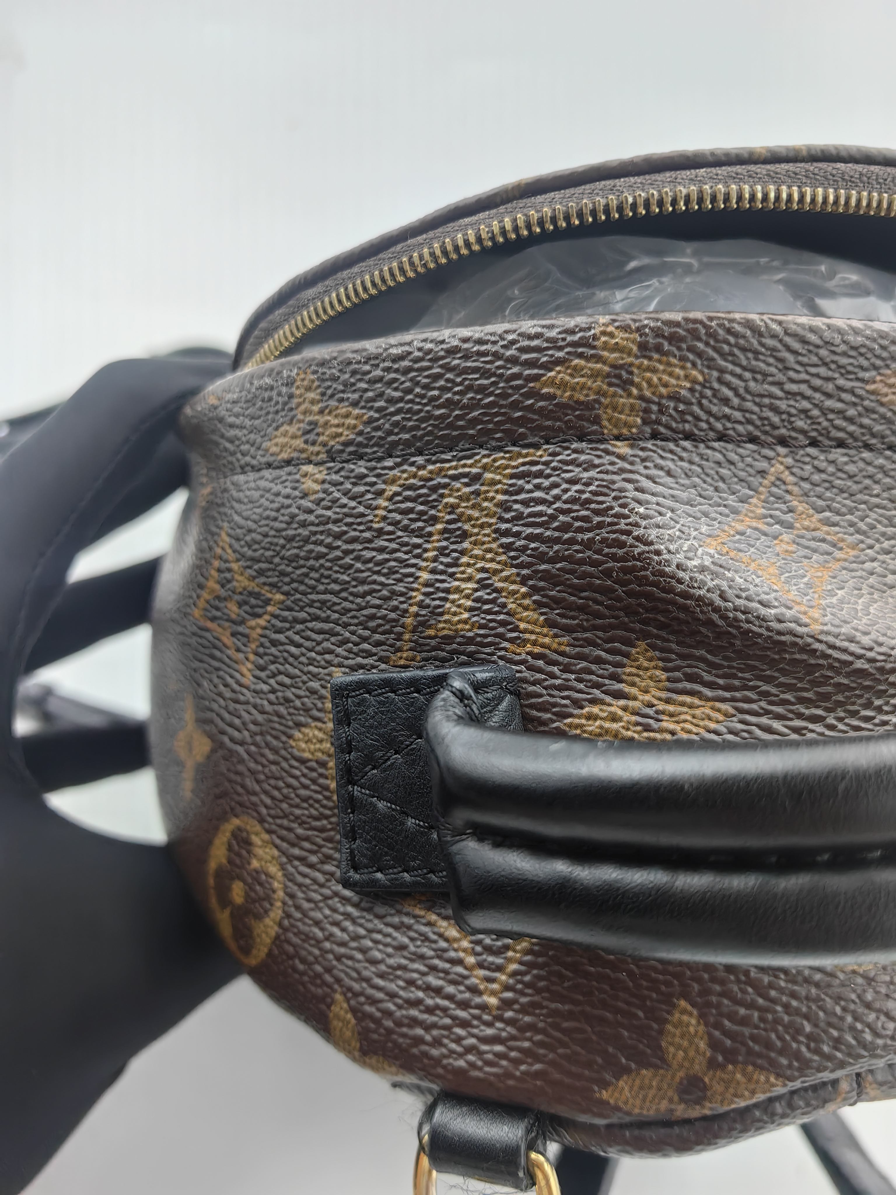 Louis Vuitton Backpack
