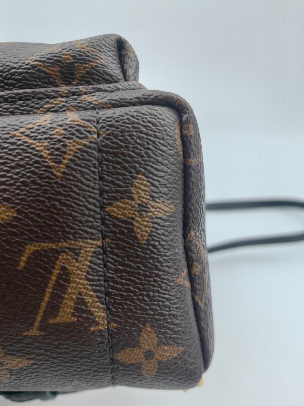 Louis Vuitton Backpack