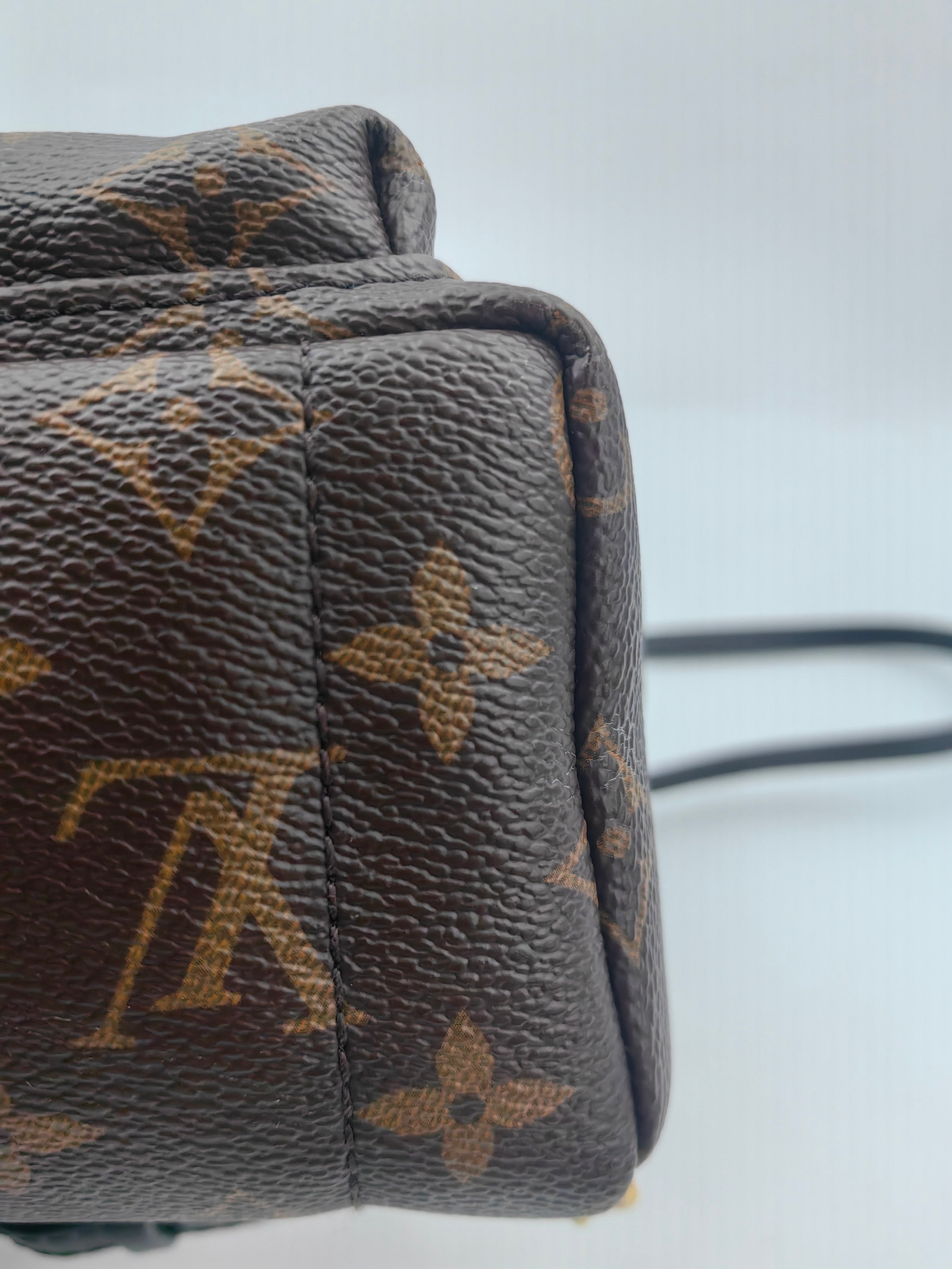 Louis Vuitton Backpack