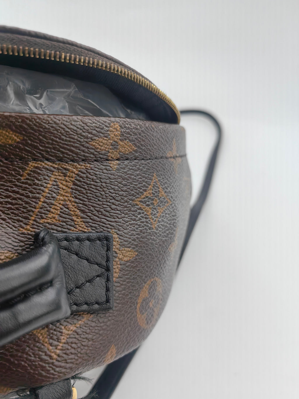 Louis Vuitton Backpack