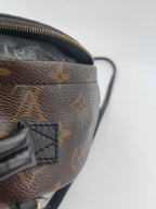 Louis Vuitton Backpack