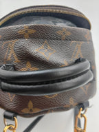 Louis Vuitton Backpack