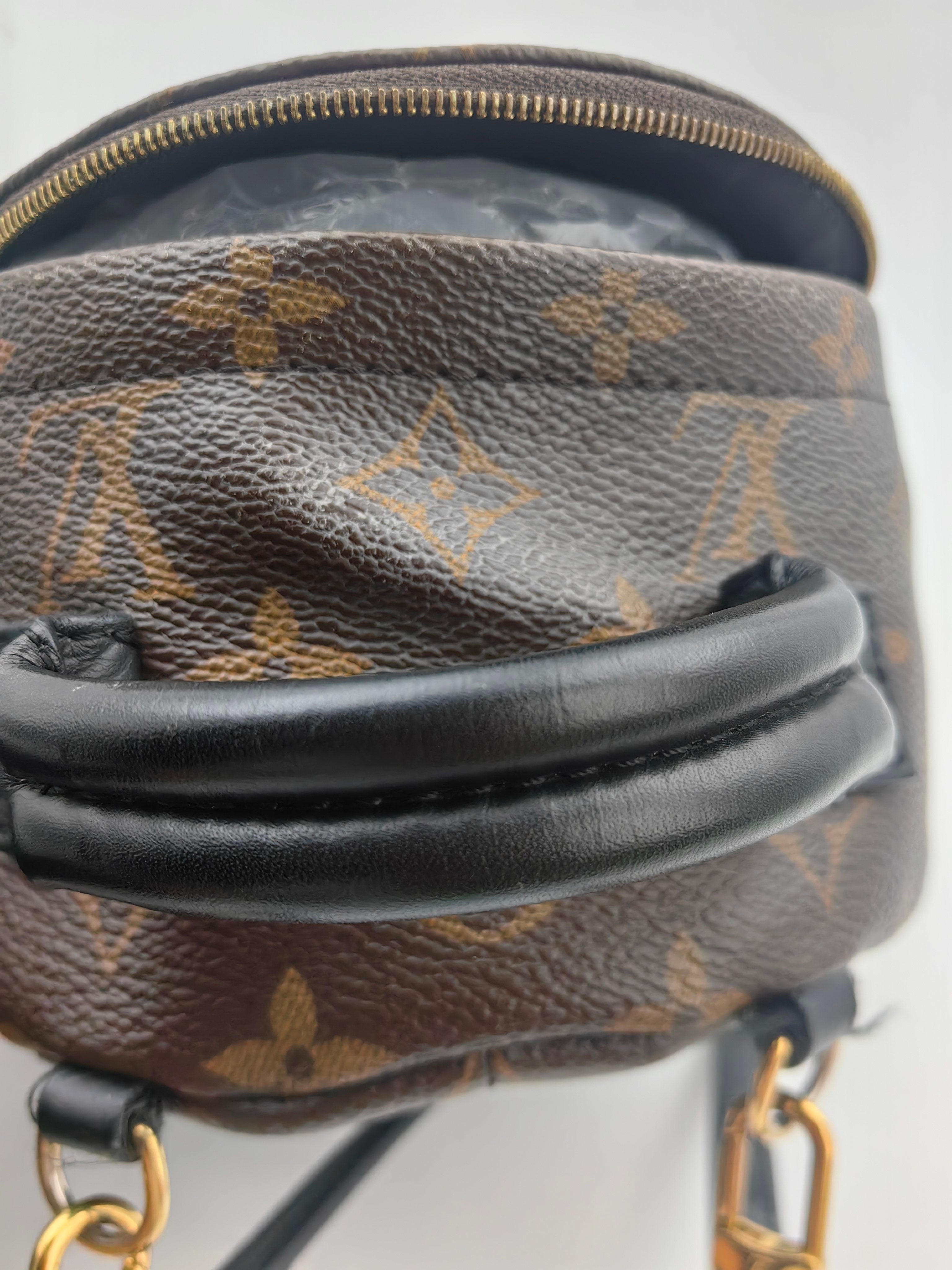 Louis Vuitton Backpack