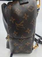Louis Vuitton Backpack