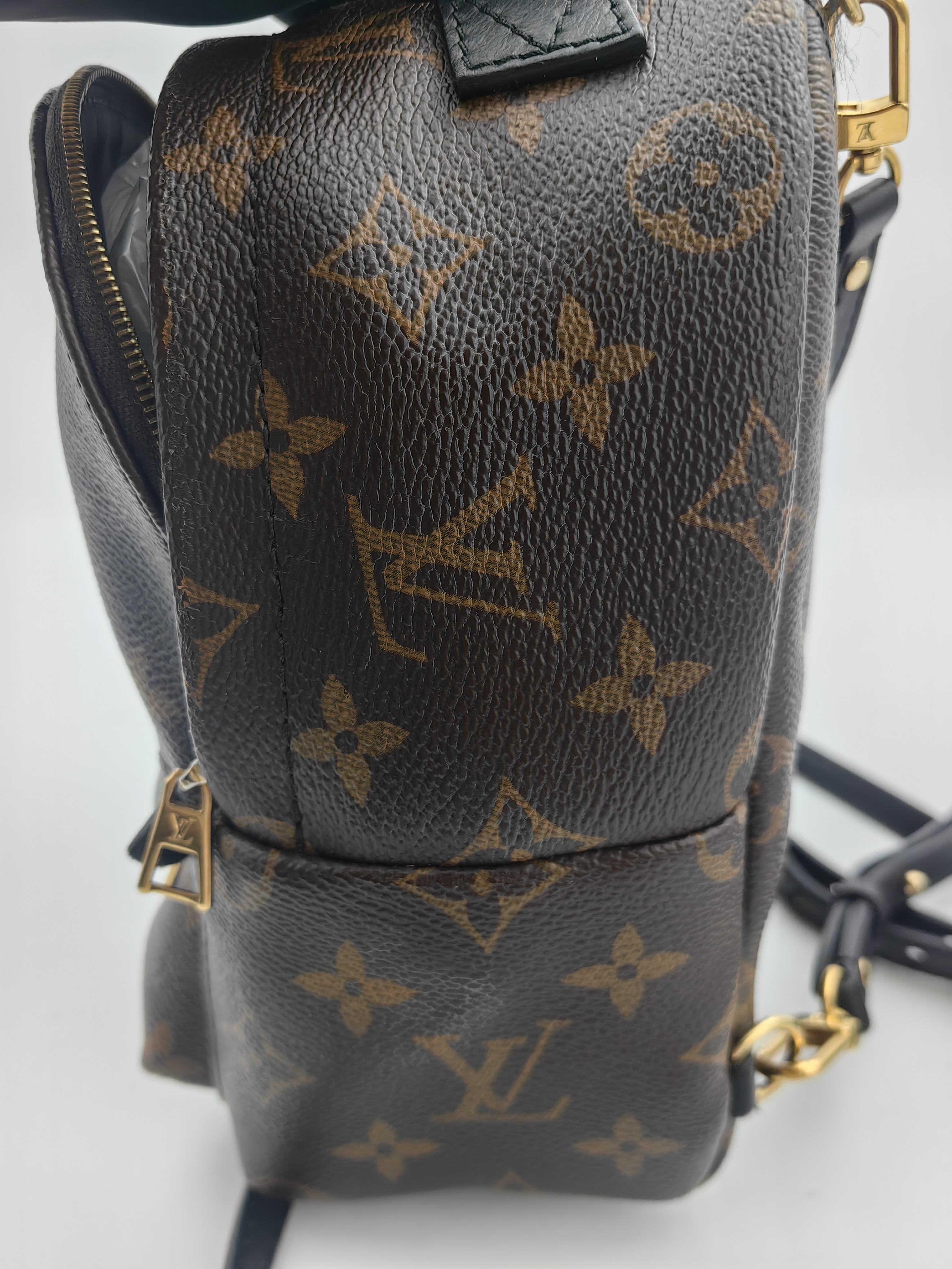 Louis Vuitton Backpack