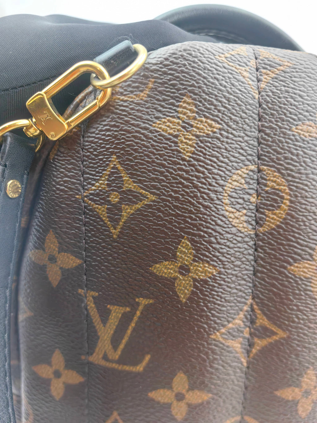 Louis Vuitton Backpack