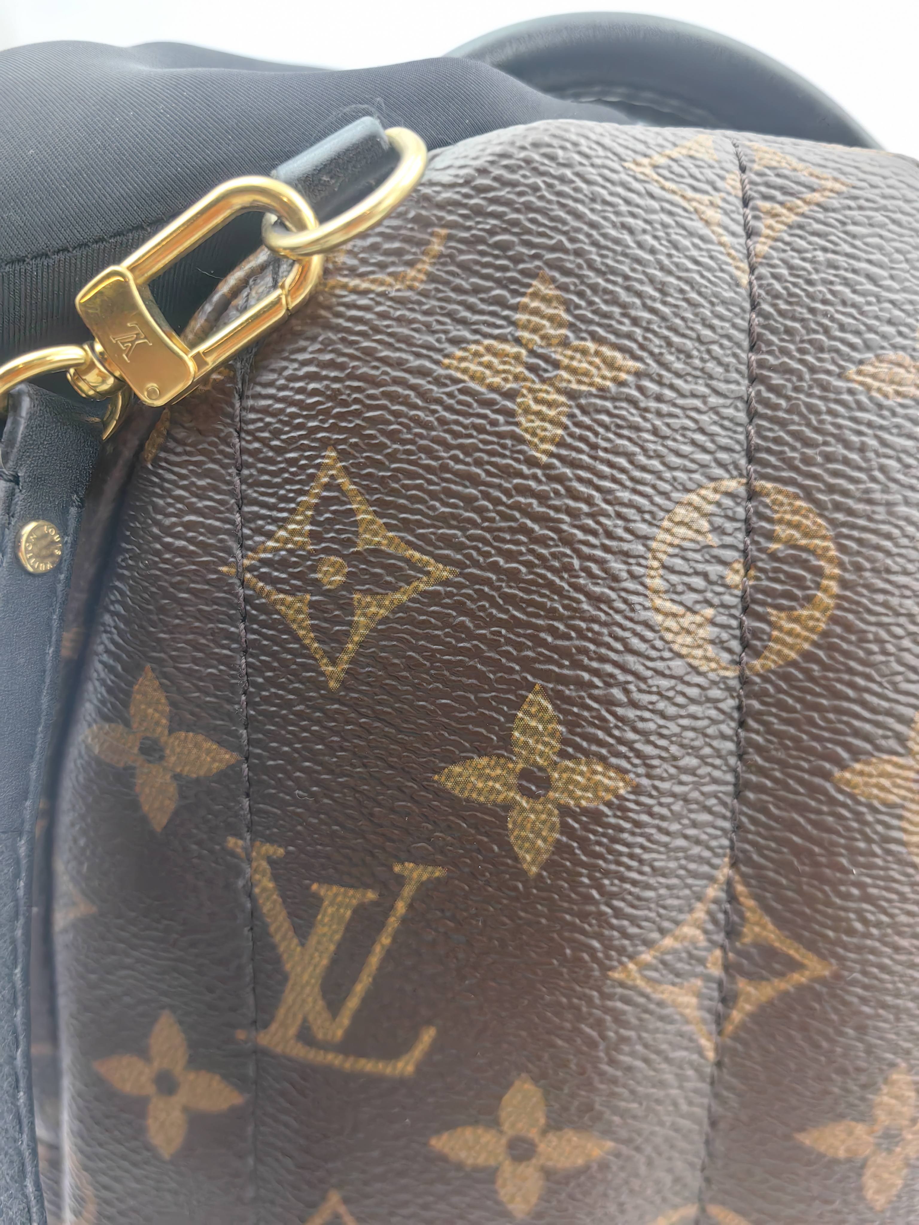 Louis Vuitton Backpack