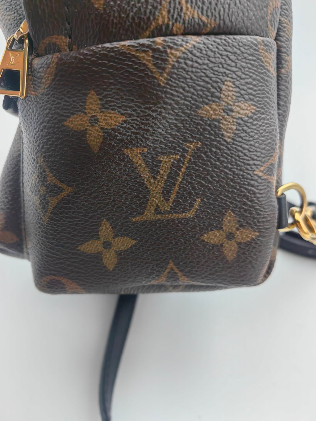 Louis Vuitton Backpack