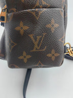Louis Vuitton Backpack