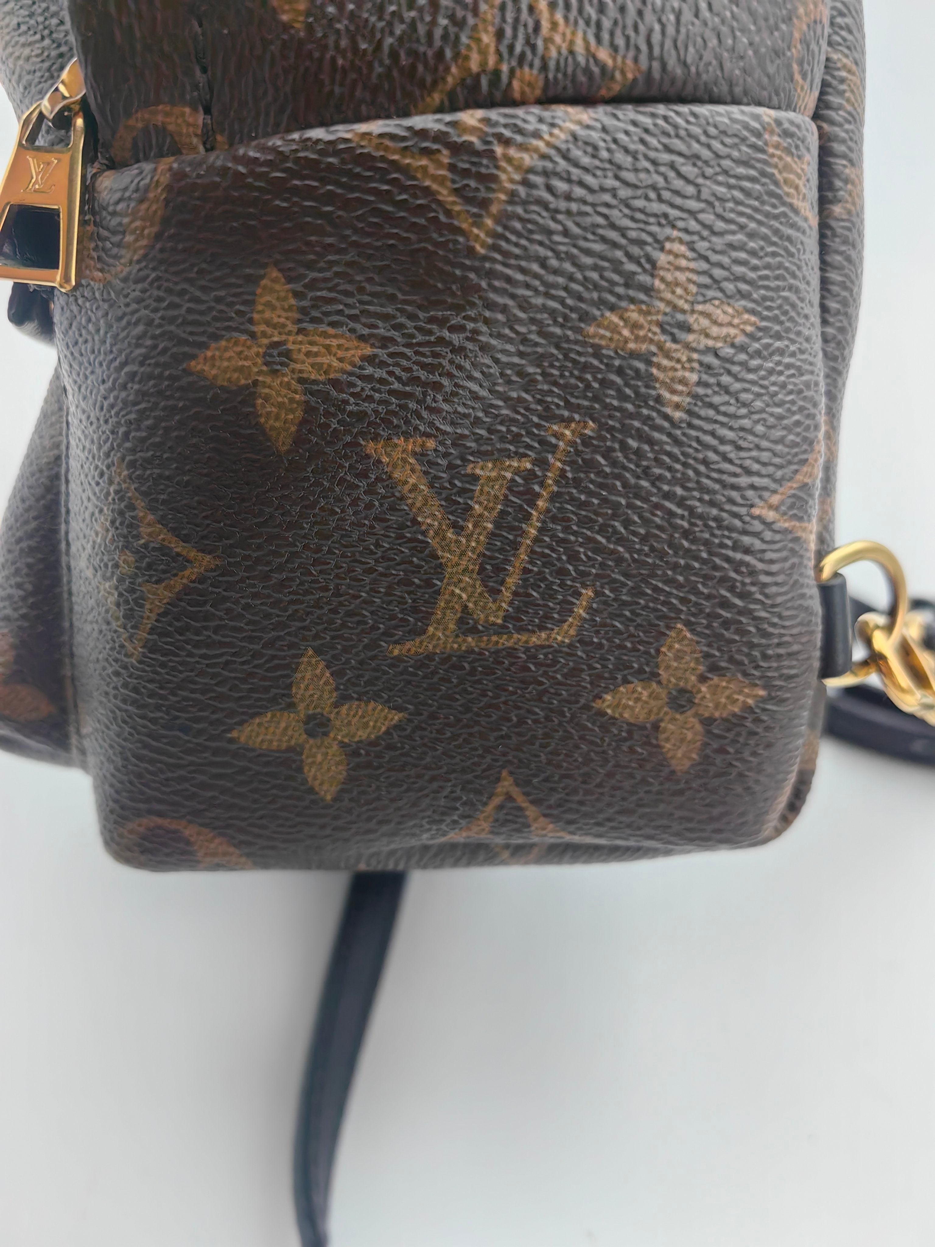 Louis Vuitton Backpack