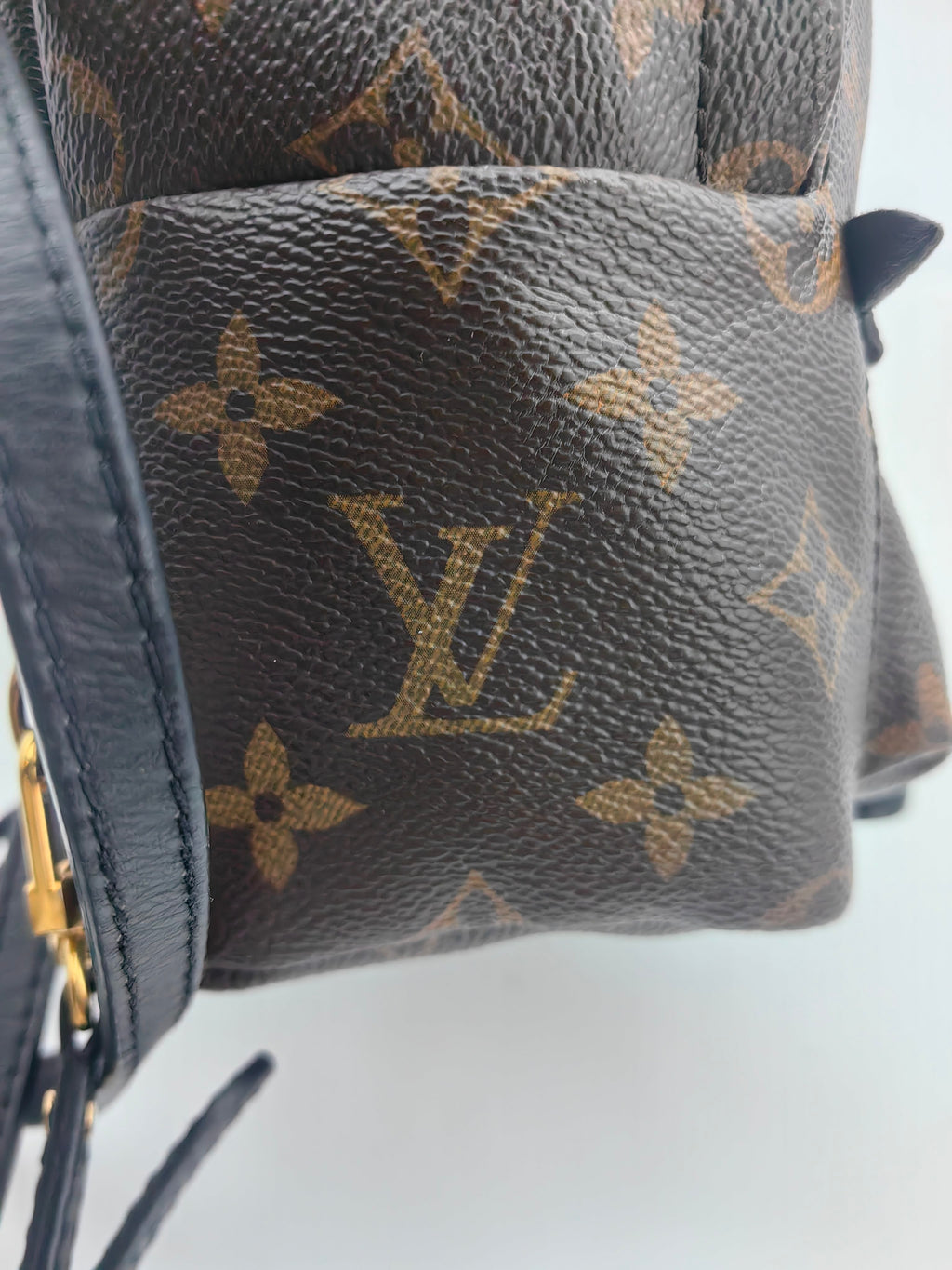 Louis Vuitton Backpack