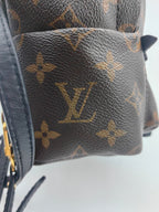 Louis Vuitton Backpack