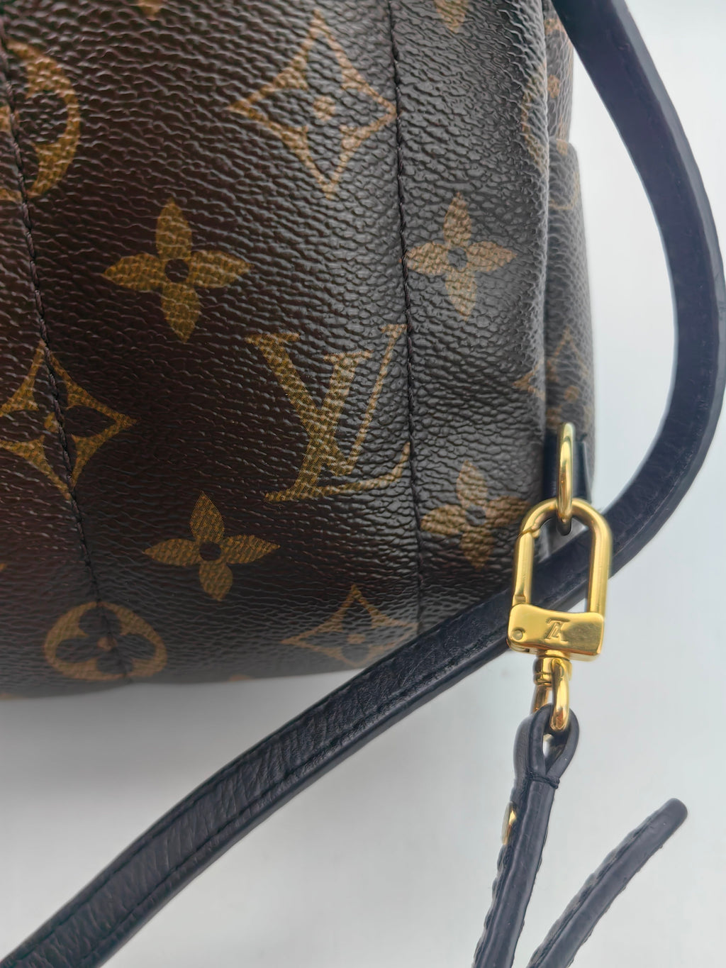 Louis Vuitton Backpack