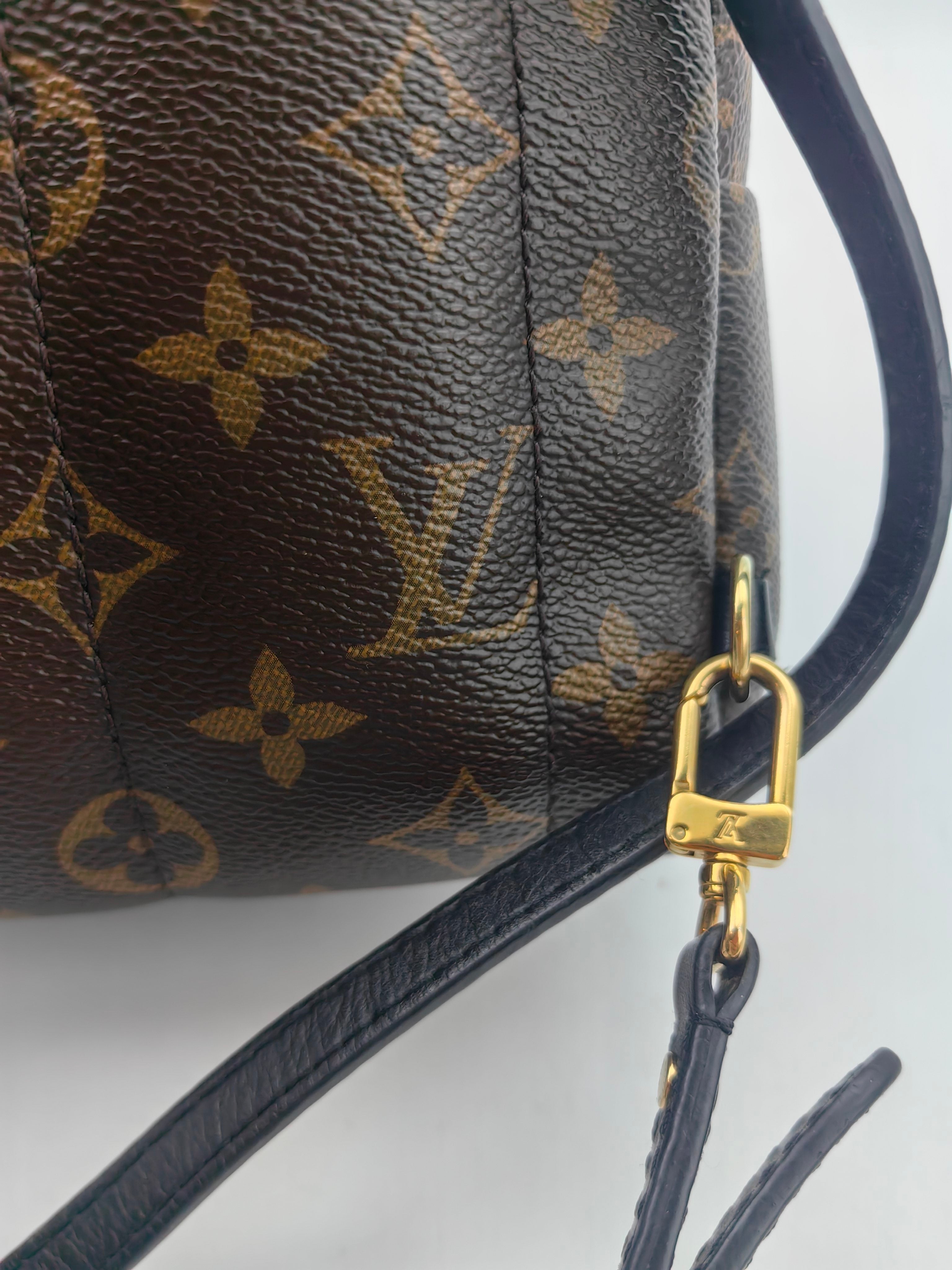 Louis Vuitton Backpack
