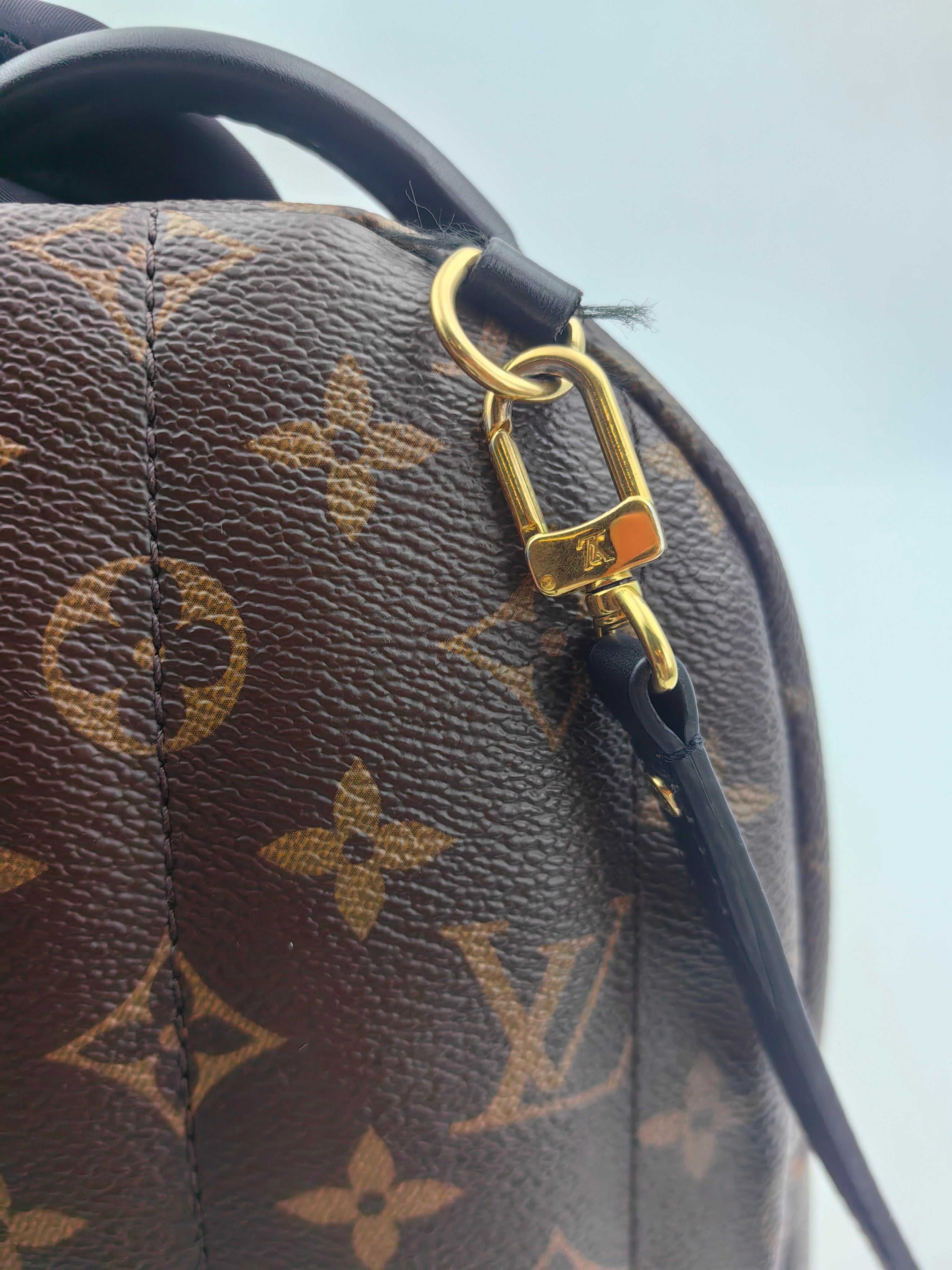 Louis Vuitton Backpack