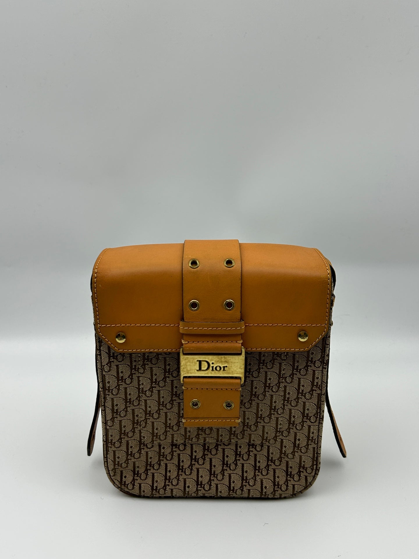 Dior Crossbody