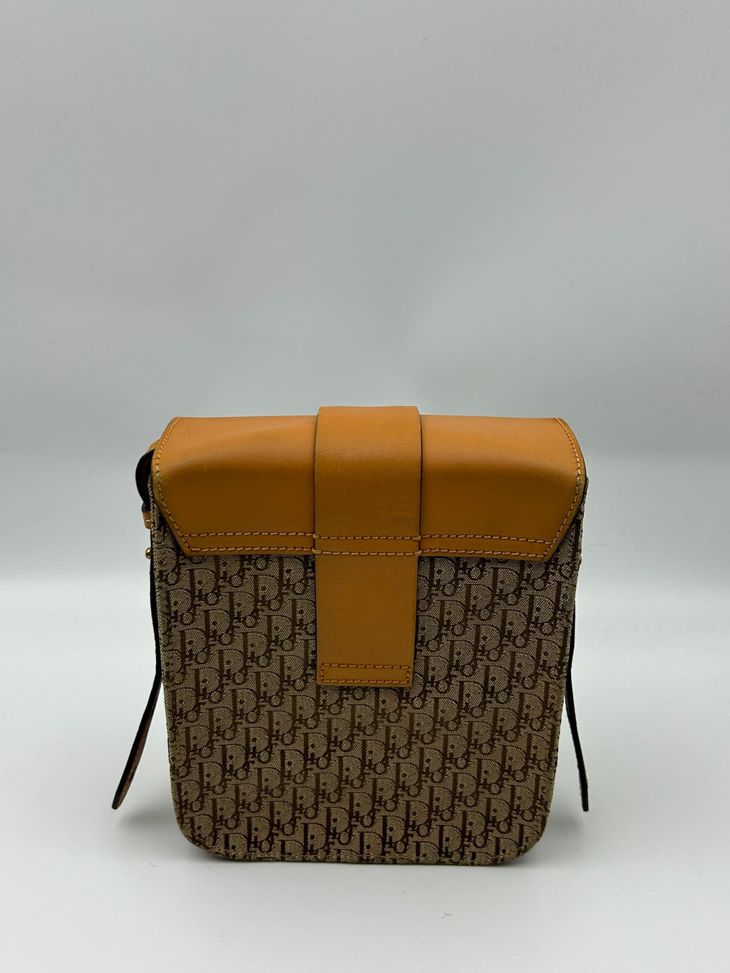 Dior Crossbody