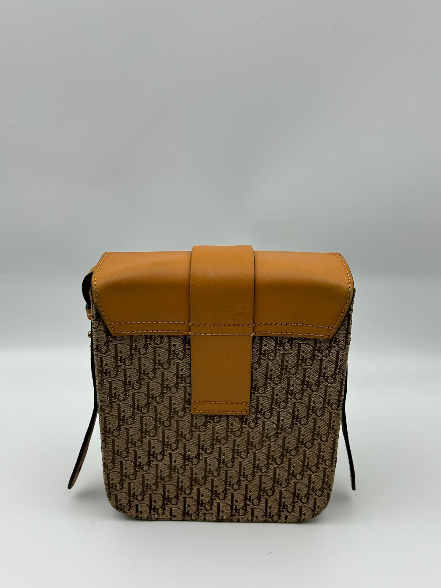 Dior Crossbody