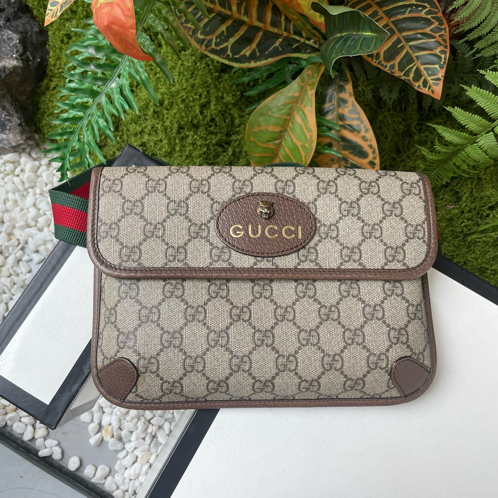 Gucci Belt Bag & Fanny Pack