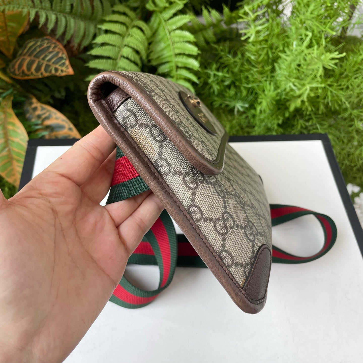 Gucci Belt Bag & Fanny Pack