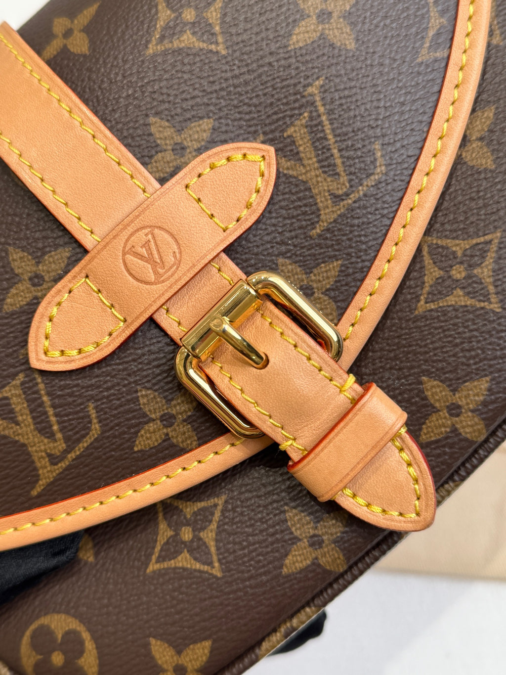 Louis Vuitton Crossbody