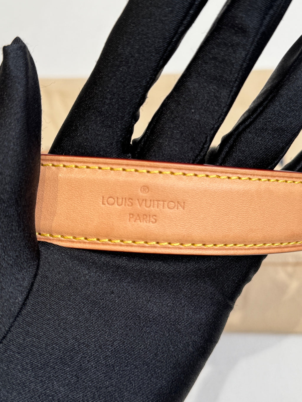Louis Vuitton Crossbody