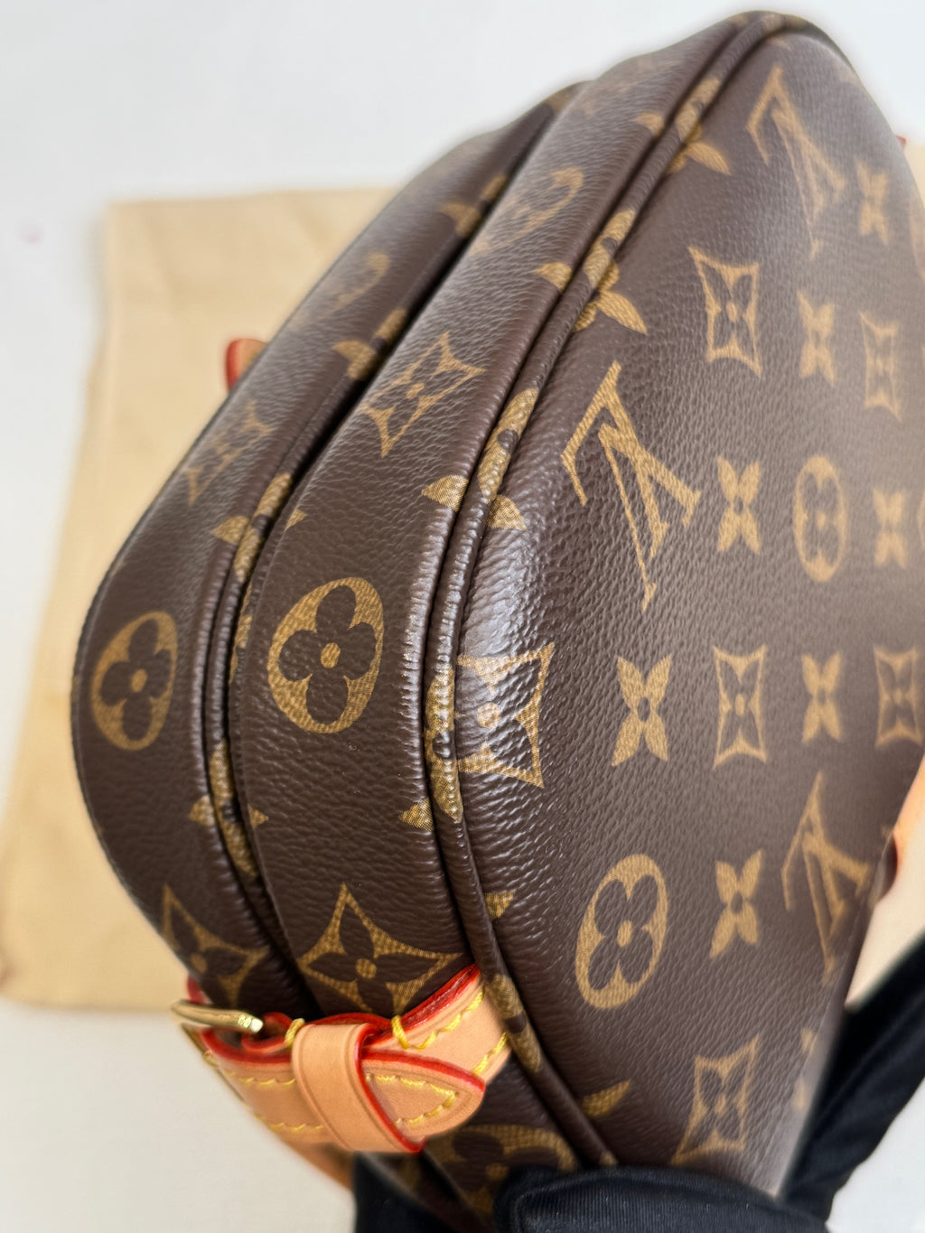 Louis Vuitton Crossbody