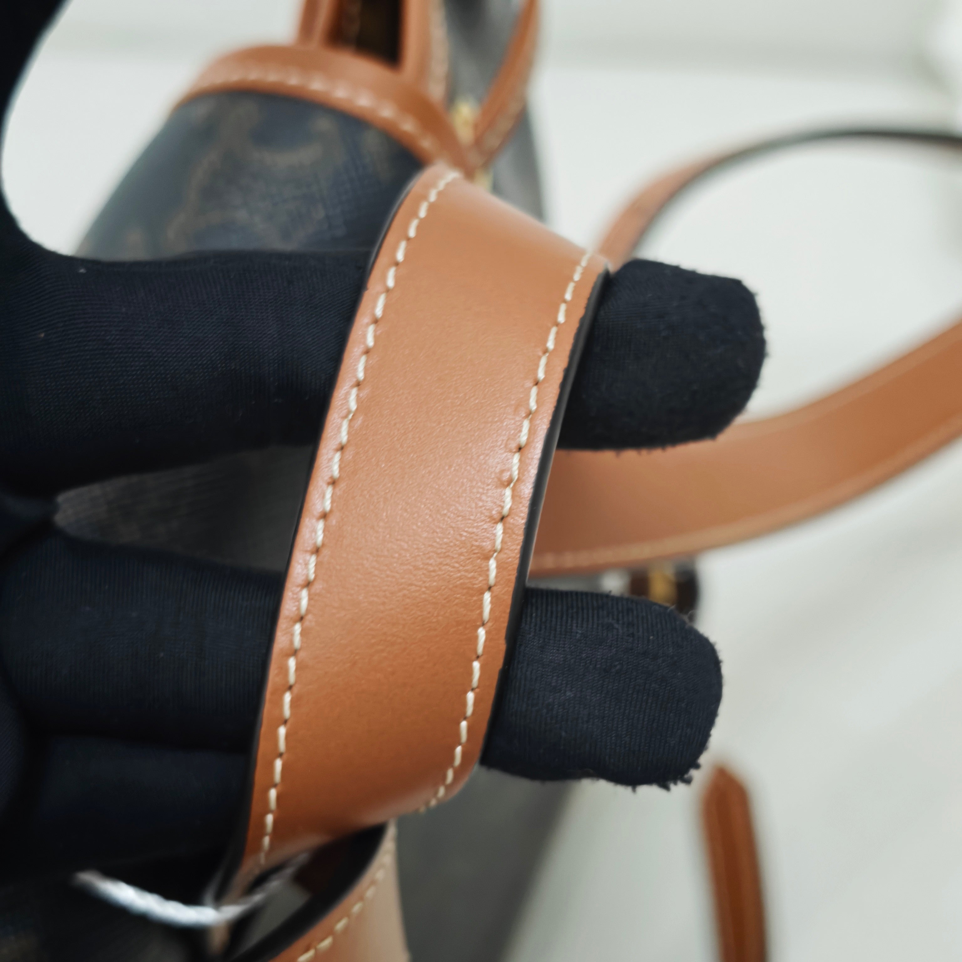 Celine Canvas Backpack
