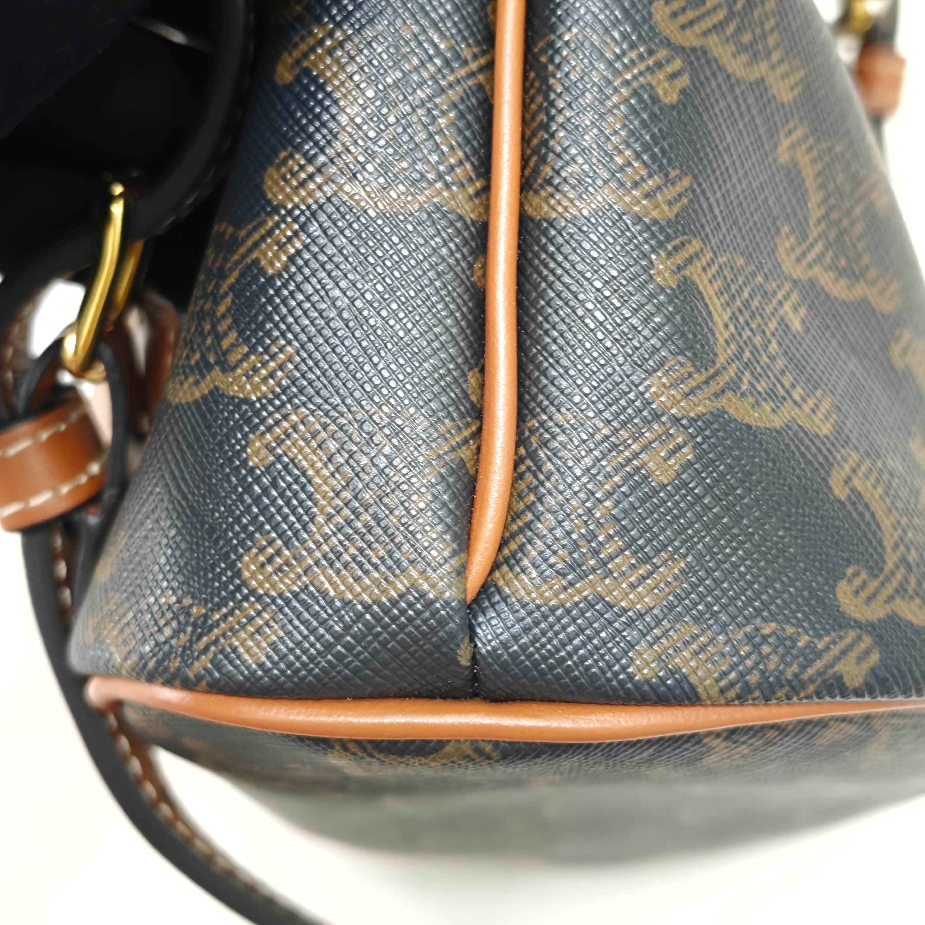 Celine Canvas Backpack