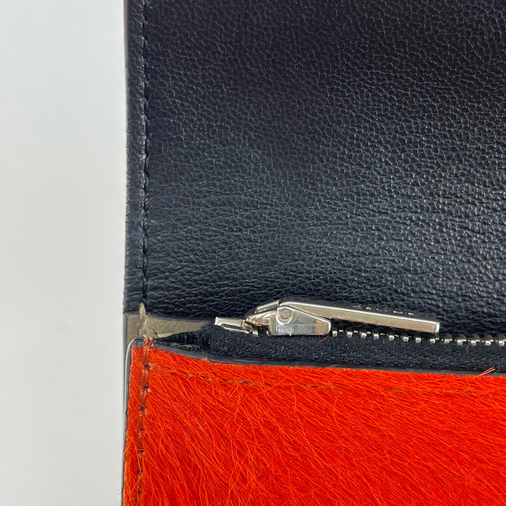 Celine Clutch