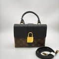 Louis Vuitton Black
