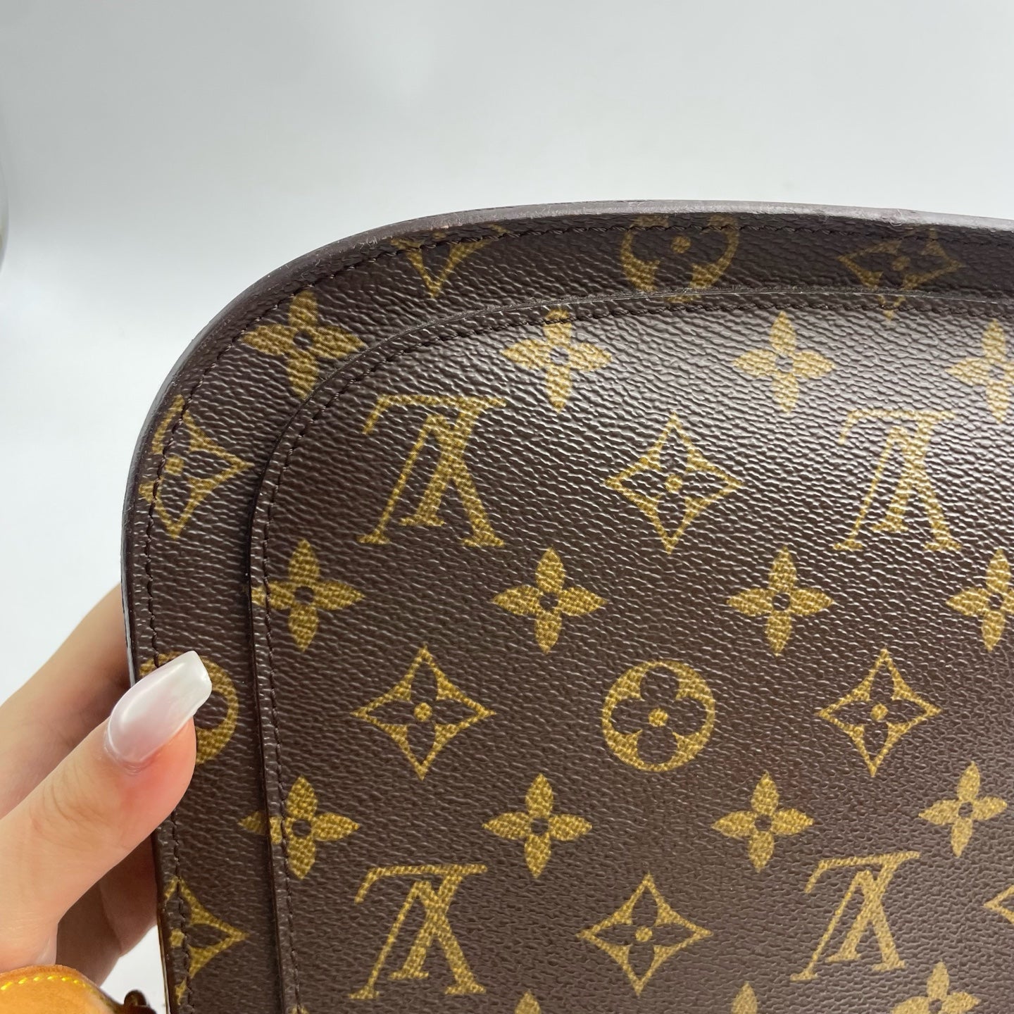 Louis Vuitton Saddle Bag