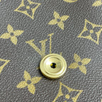 Louis Vuitton Saddle Bag