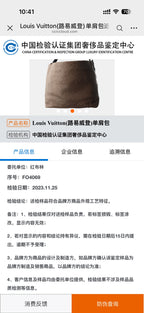 Louis Vuitton Shoulder Bag